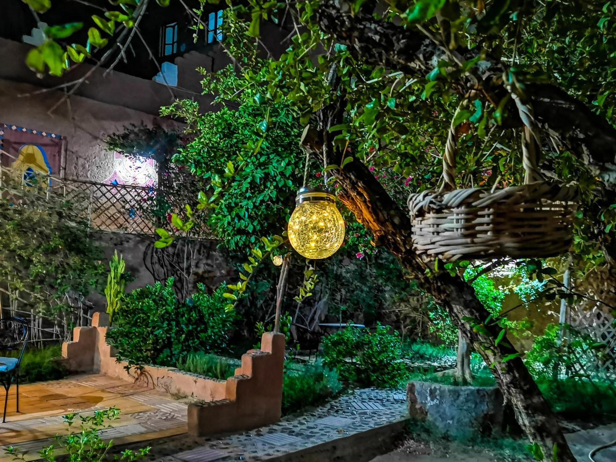 Riad Dar Zaouia ซากอร่า ภายนอก รูปภาพ