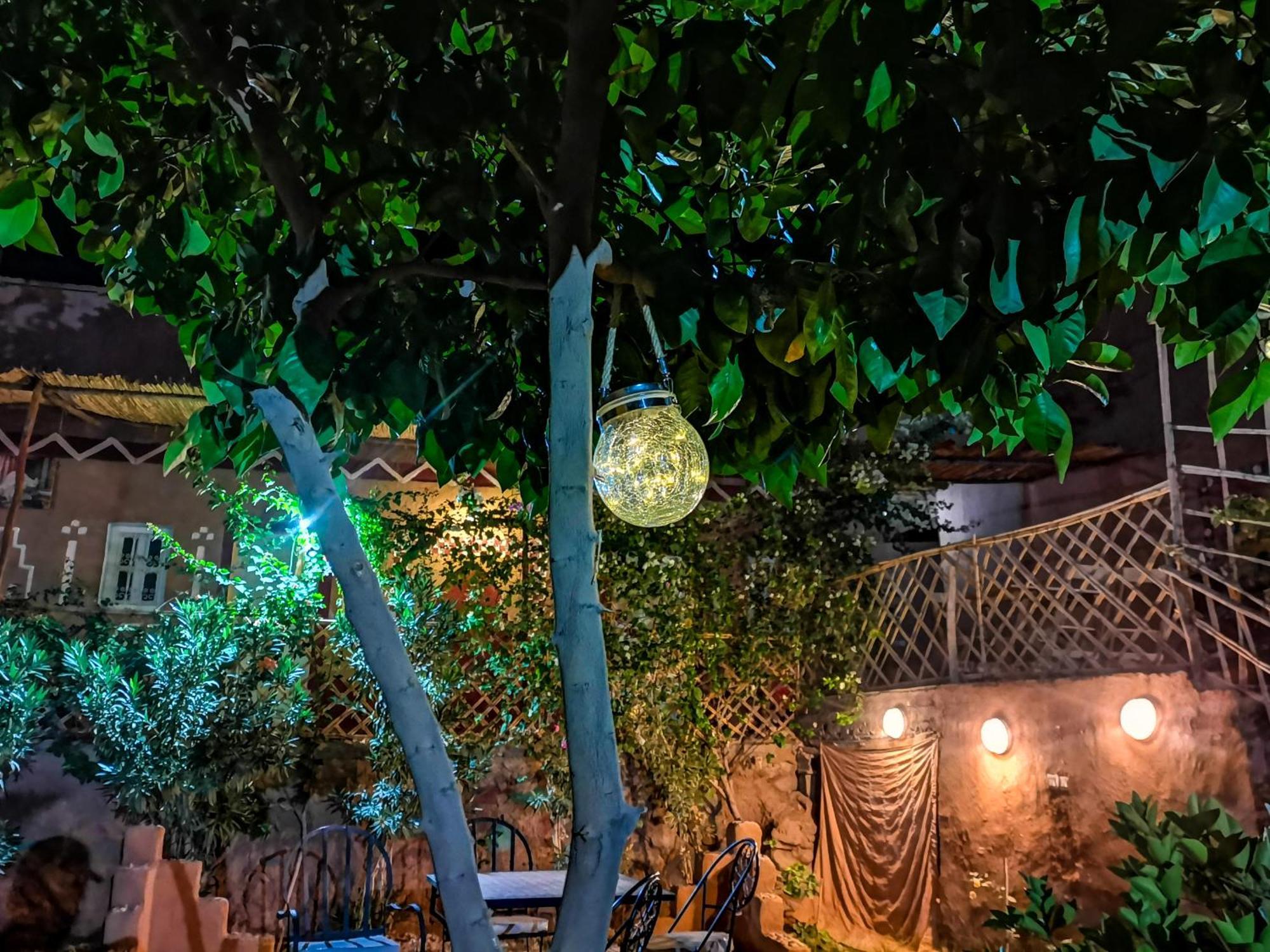 Riad Dar Zaouia ซากอร่า ภายนอก รูปภาพ
