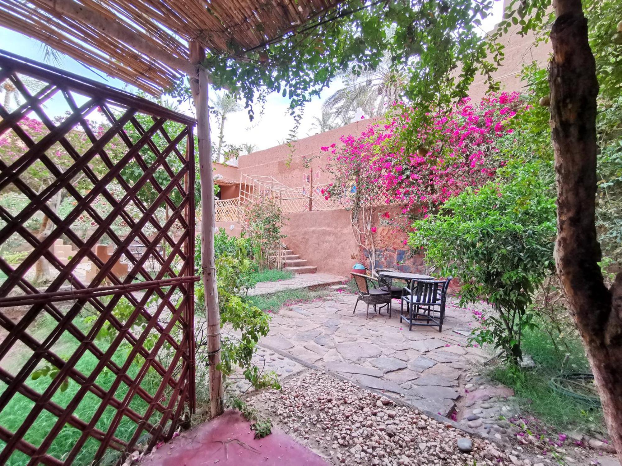 Riad Dar Zaouia ซากอร่า ภายนอก รูปภาพ