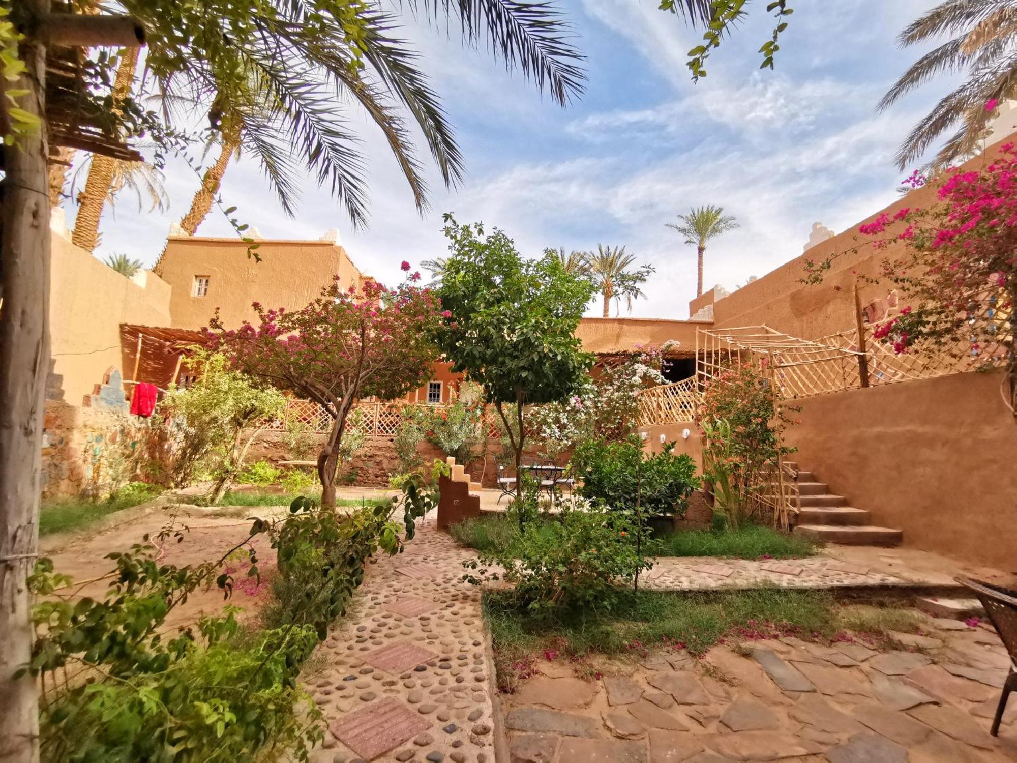 Riad Dar Zaouia ซากอร่า ภายนอก รูปภาพ