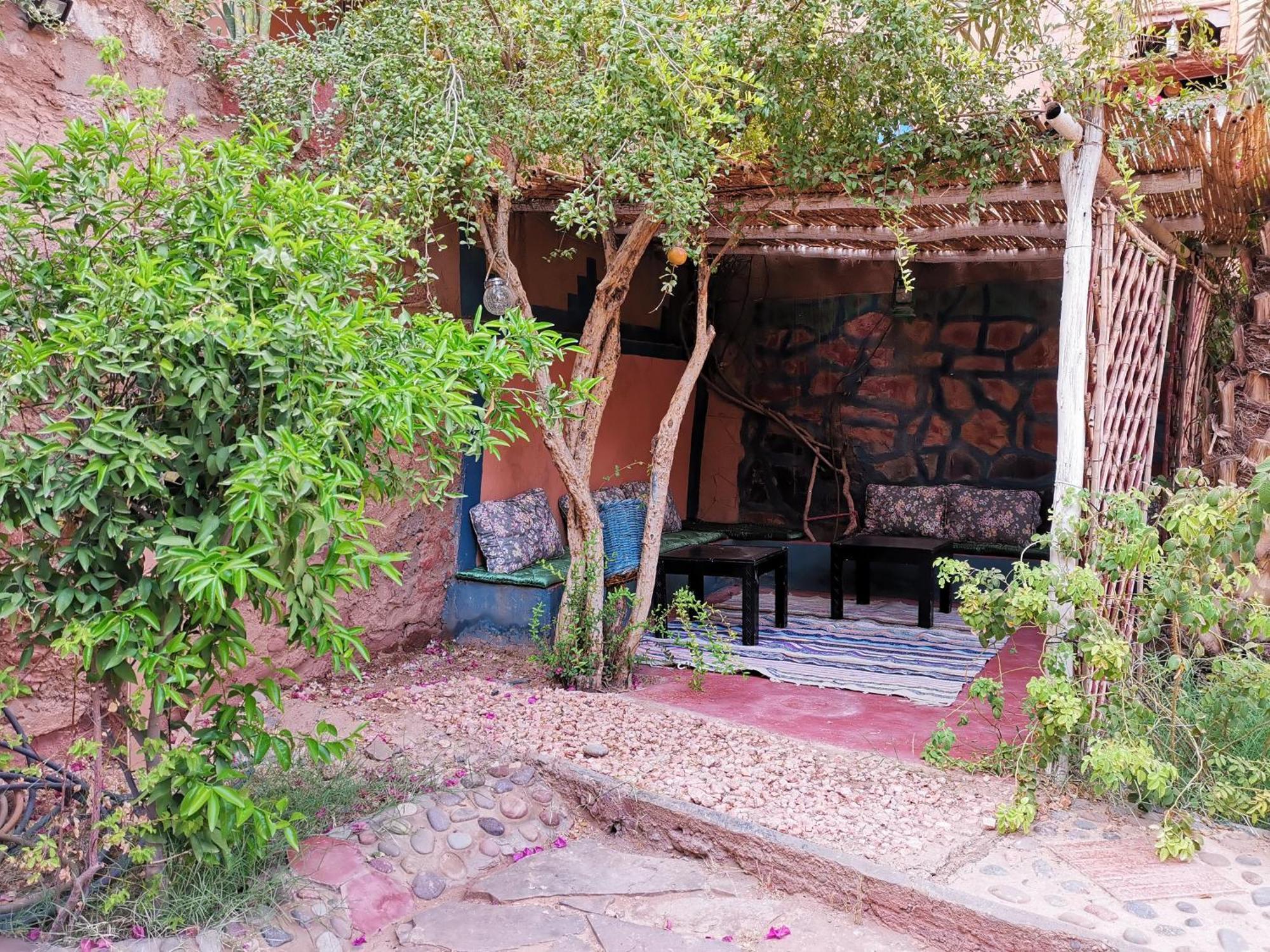 Riad Dar Zaouia ซากอร่า ภายนอก รูปภาพ
